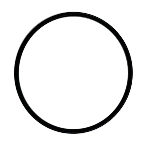 128712 - ARAG 314 FILTER SCREEN O-RING