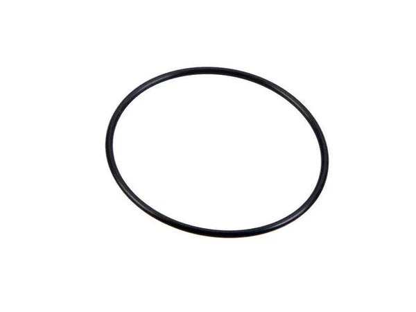 124863 - ARAG 316 FILTER SCREEN O-RING EPDM 2in FILTER