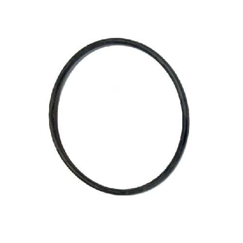 127094 - Banjo 1 1/2"-2" O-Ring for drain plug