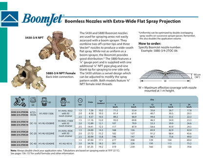 127850 - TEEJET BOOMJET NOZZLE OC TWIN SWIVEL 06 BRASS