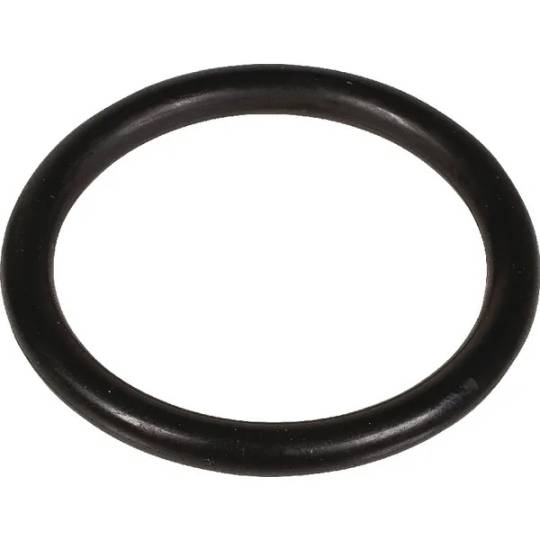 127154 - ORing Valve